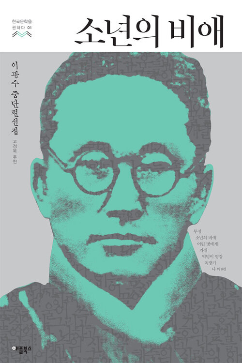 소년의 비애 - 한국문학을 권하다 01: 이광수 중단편선집