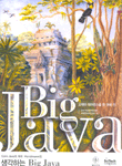 생각하는 Big Java : Core Java의 저자 Horstmann의
