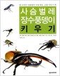 [중고] 사슴벌레 장수풍뎅이 키우기