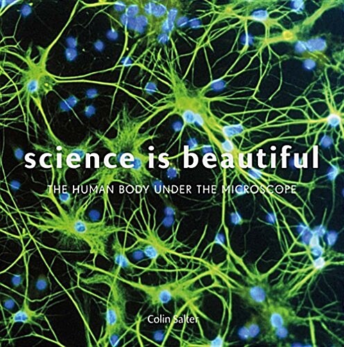 Science is Beautiful: The Human Body : Under the Microscope (Hardcover)