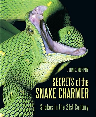 Secrets of the Snake Charmer: Snakes in the 21st Century (Paperback)