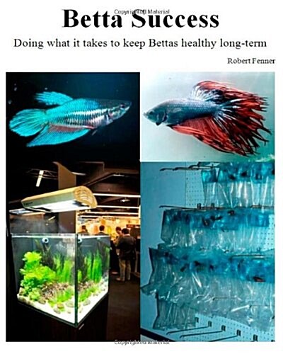 Betta Success: Doing What It Takes to Keep Bettas Healthy Long-Term (Paperback)