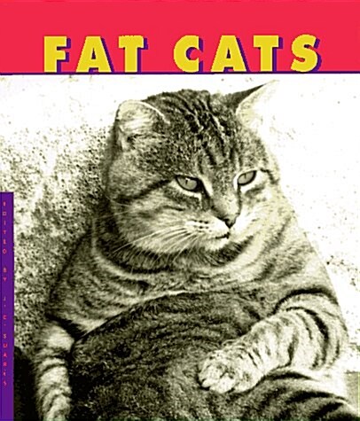 Fat Cats (Hardcover, 1ST)