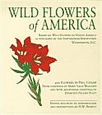 Wild Flowers of America: Based on Wild Flowers of North America (Paperback, Mini)