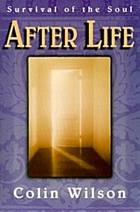 After Life: Survival of the Soul (Paperback, 2 Sub)