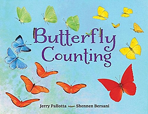 Butterfly Counting (Paperback)