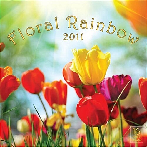 2011 Floral Rainbow Calendar (Calendar)