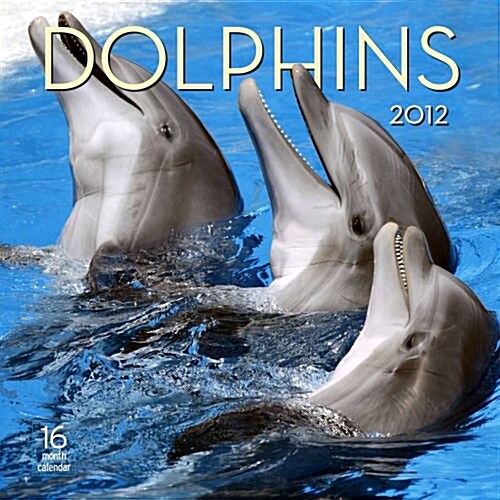 2012 Dolphins Wall calendar (Calendar, Wal)