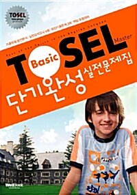 [중고] TOSEL Master 단기완성 실전문제집 Basic
