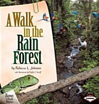 A Walk in the Rain Forest (Paperback)