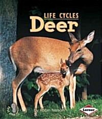 Deer (Paperback)