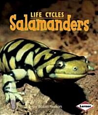 Salamanders (Paperback)