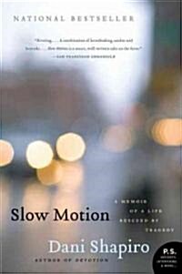 Slow Motion: A Memoir of a Life Rescued by Tragedy (Paperback)