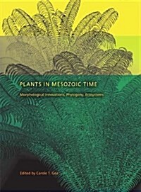 Plants in Mesozoic Time: Morphological Innovations, Phylogeny, Ecosystems (Hardcover)