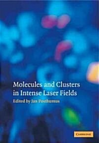 [중고] Molecules and Clusters in Intense Laser Fields (Paperback)