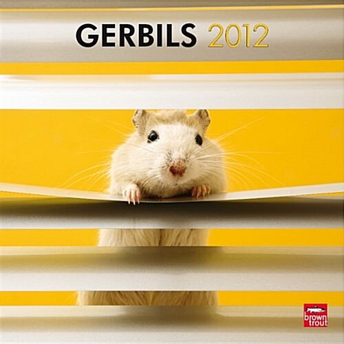 Gerbils 2012 Square 12X12 Wall Calendar (Calendar, Wal)
