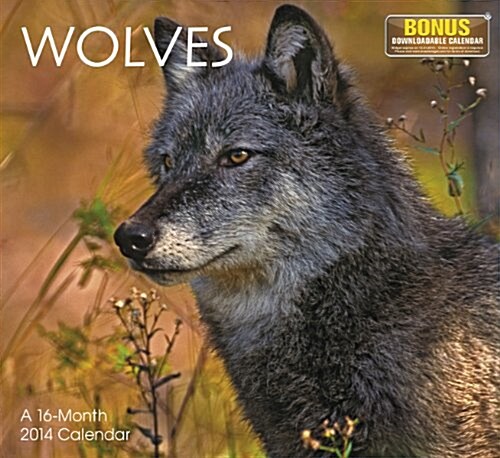 2014 Wolves Wall Calendar (Calendar, Wal)