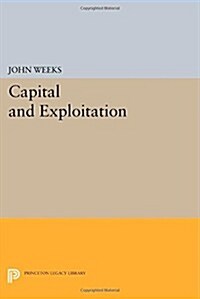 Capital and Exploitation (Paperback)