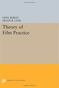 Theory of film practice