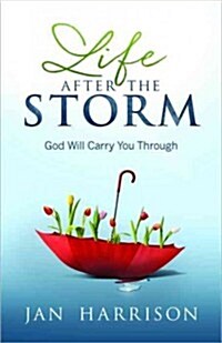 Life After the Storm (Paperback)