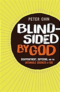 Blindsided by God: Disappointment, Suffering, and the Untamable Goodness of God (Paperback)