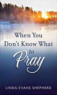 When You Dont Know What to Pray (Paperback)