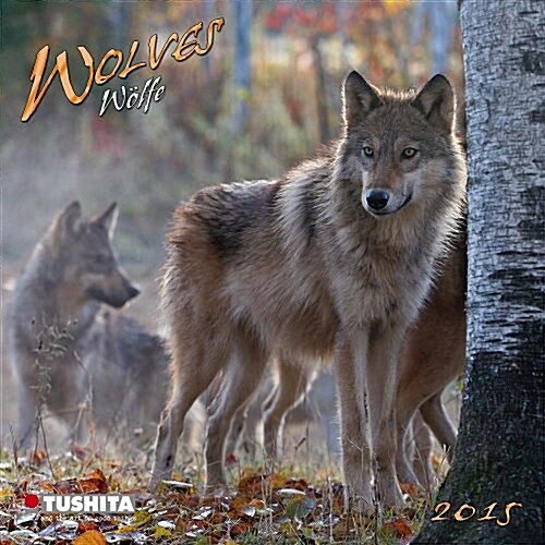 Wolves 2015 (Paperback)