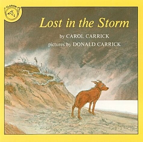 Lost in the Storm (Paperback, Reprint)