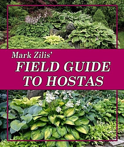 Mark Zilis Field Guide to Hostas (Paperback, Spiral)