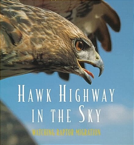 Hawk Highway in the Sky (School & Library)