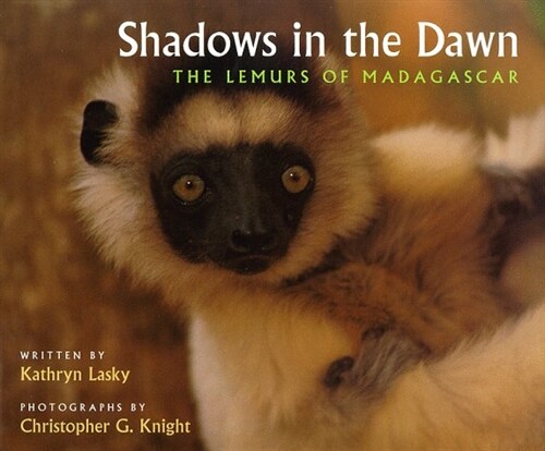 Shadows in the Dawn (School & Library)