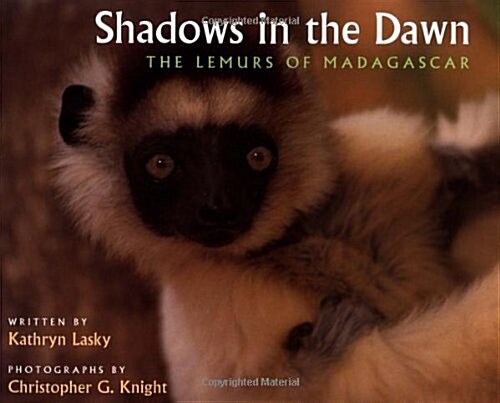 Shadows in the Dawn (Paperback)