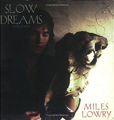 Slow Dreams (Paperback)