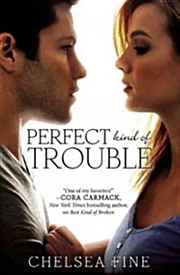 Perfect Kind of Trouble (Paperback)
