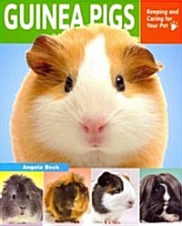 Guinea Pigs: Keeping and Caring for Your Pet (Paperback)