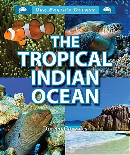 The Tropical Indian Ocean (Paperback)