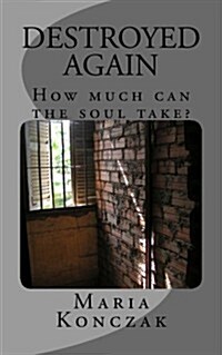 Destroyed Again: How Much Can the Soul Take? (Paperback)