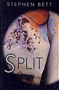 S Plit (Paperback)