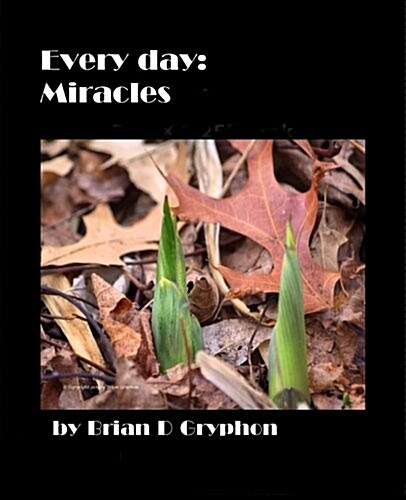 Every Day (Paperback, 2nd)
