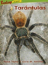 Tarantulas / spiders (Paperback)