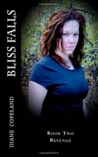 Bliss Falls (Paperback)
