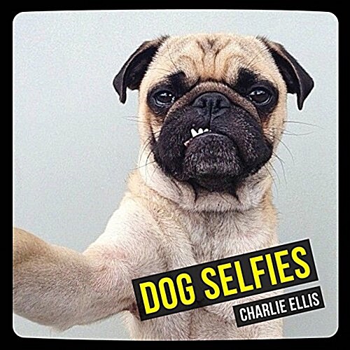 Dog Selfies (Hardcover)