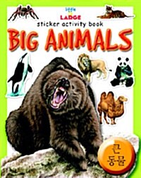 Sticker Activity Book 5
