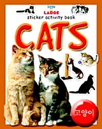 Sticker Activity Book 8