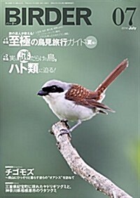 BIRDER (バ-ダ-) 2014年 07月號 至極の鳥見旅行ガイド/謎だらけの鳥たち ハト類 (月刊, 雜誌)