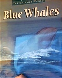 Blue Whales (Paperback)