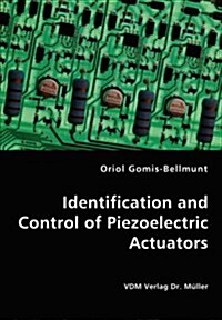 Identification and Control of Piezoelectric Actuators (Paperback)