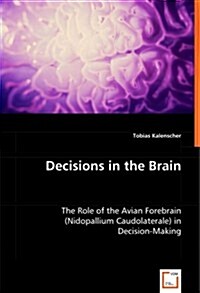 Decisions in the Brain (Paperback)