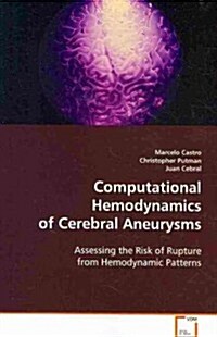 Computational Hemodynamics of Cerebral Aneurysms (Paperback)