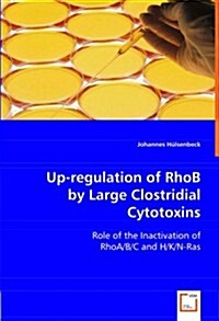 Up-regulation of RhoB by Large Clostridial Cytotoxins (Paperback)